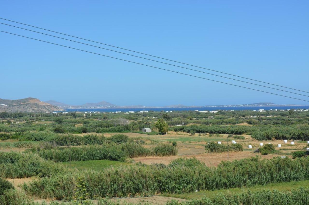 Villa Naxian Vacation With Sea View à Glinado Naxos Extérieur photo